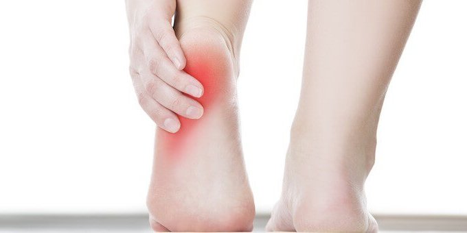 30956691112_53c09a6df8_c pelmatiaia-aponeurositida